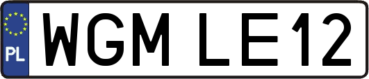 WGMLE12