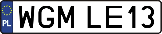 WGMLE13