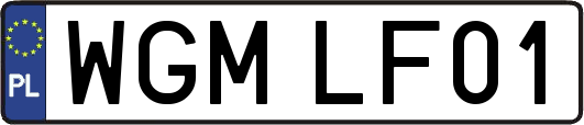 WGMLF01