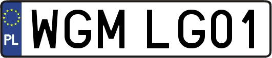 WGMLG01