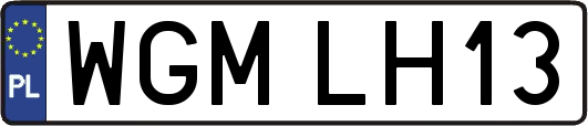 WGMLH13