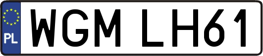 WGMLH61
