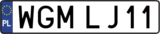 WGMLJ11