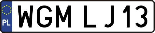 WGMLJ13