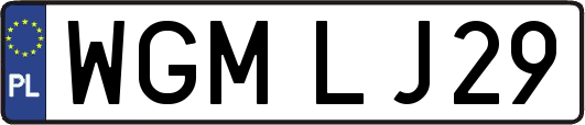 WGMLJ29