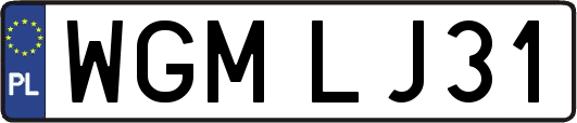 WGMLJ31