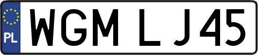 WGMLJ45