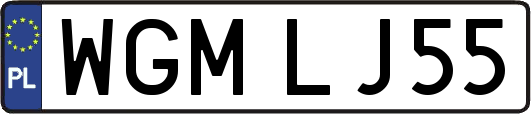 WGMLJ55