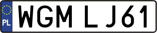 WGMLJ61