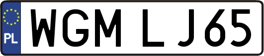 WGMLJ65