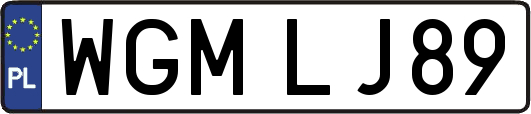WGMLJ89