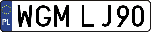 WGMLJ90