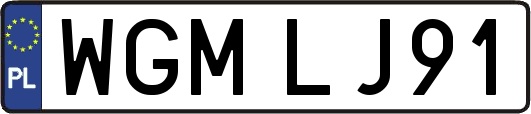 WGMLJ91