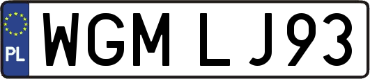 WGMLJ93