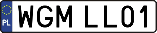WGMLL01