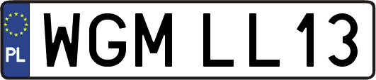 WGMLL13