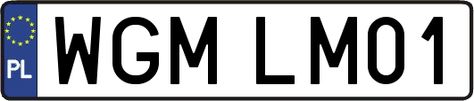 WGMLM01