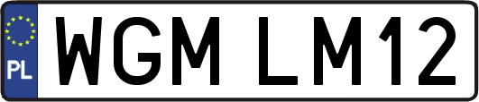 WGMLM12