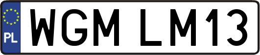 WGMLM13
