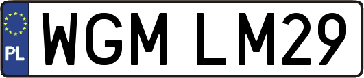 WGMLM29