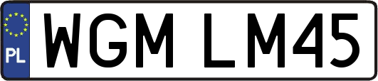 WGMLM45