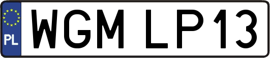 WGMLP13