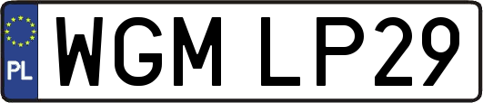 WGMLP29