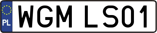 WGMLS01