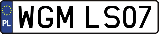 WGMLS07