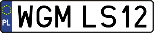WGMLS12