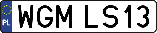 WGMLS13