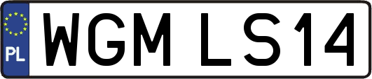 WGMLS14