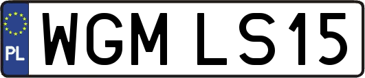 WGMLS15