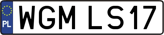 WGMLS17
