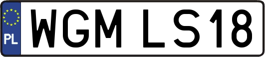 WGMLS18
