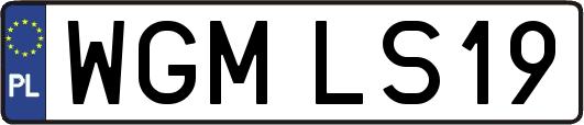 WGMLS19