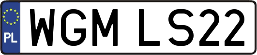 WGMLS22