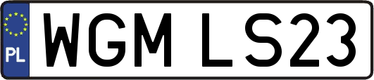 WGMLS23