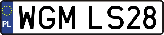 WGMLS28