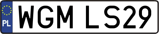 WGMLS29