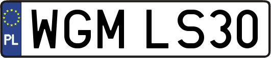 WGMLS30