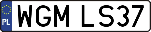 WGMLS37