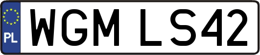 WGMLS42