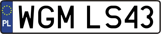 WGMLS43