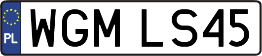 WGMLS45