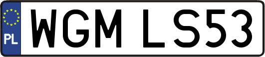 WGMLS53