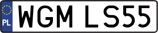 WGMLS55