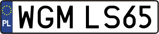 WGMLS65