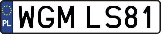 WGMLS81