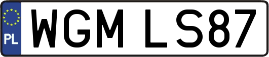 WGMLS87
